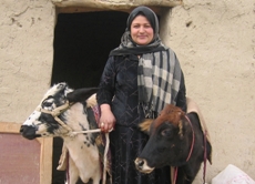 Woman Microfinance