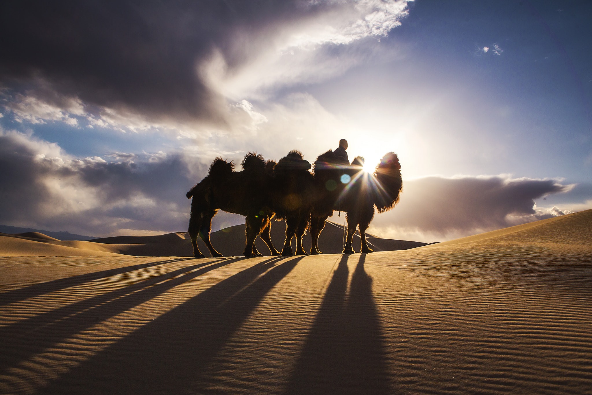 Gobi Desert, Mongolia